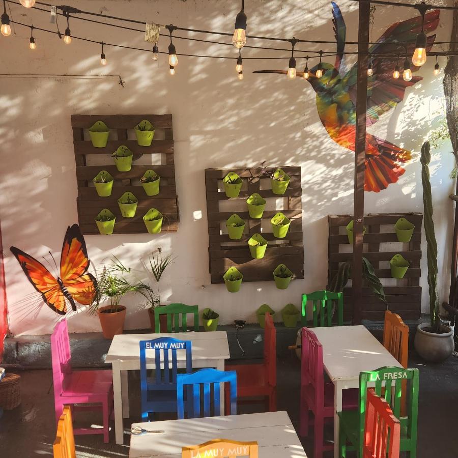 Vila Casa Frida Tulum Exteriér fotografie